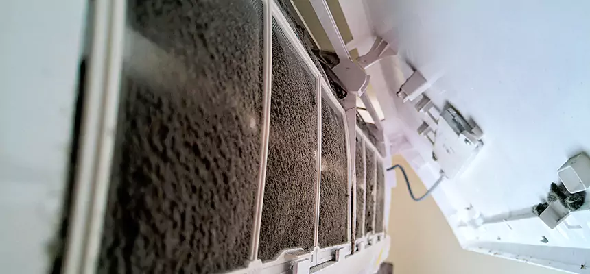 Preventive Air Duct Bacteria Removal in Lufkin