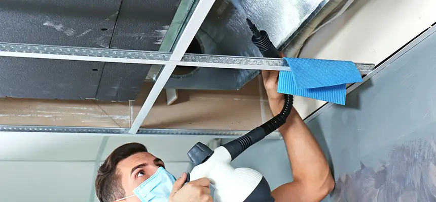 Our Air Duct Rodent Removal Services in Lufkin, TX