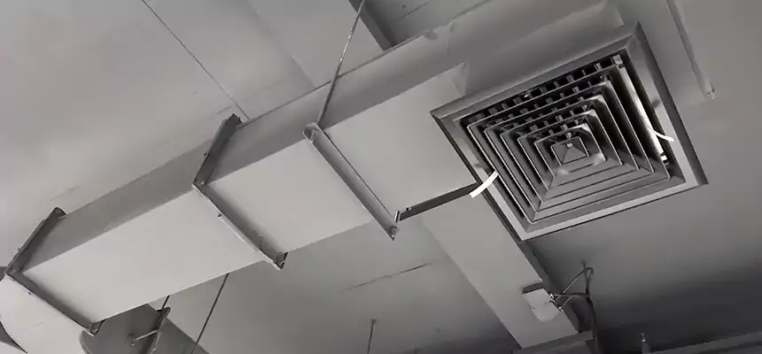 Restorative Allergy Relief Vent Cleaning – Coil, Blower & Housing Detail in Lufkin