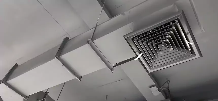 Our Pest Removal From Ducts Services in Lufkin, TX