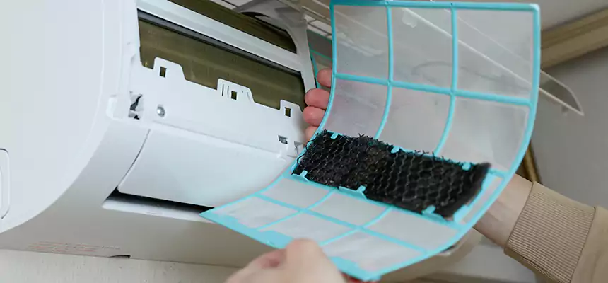 Gentle Ductwork Odor-Control Pet Dander Duct Cleaning in Lufkin, TX