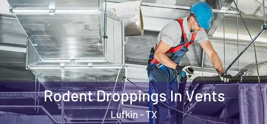  Rodent Droppings In Vents Lufkin - TX